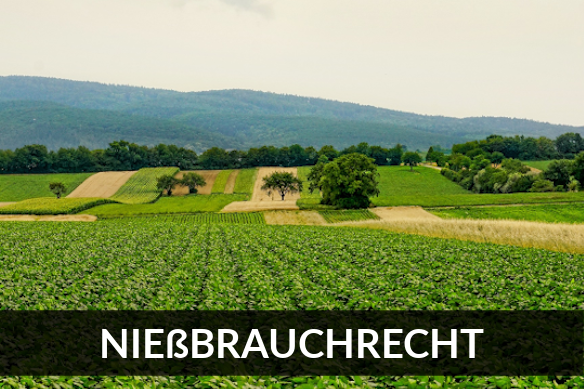 Nießbrauchrecht beim Immobilienverkauf